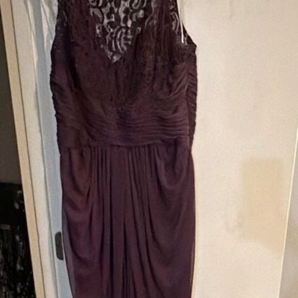 David's Bridal Plum Lace Illusion Neckline Bridesmaid Formal Gown